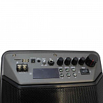 Изображение MALATA F-8 9086 Активная акустическая система + 1 радиомикрофон