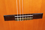 Изображение Shinano Guitar Model № 45 Japan Классическая гитара б/у, 5060330 