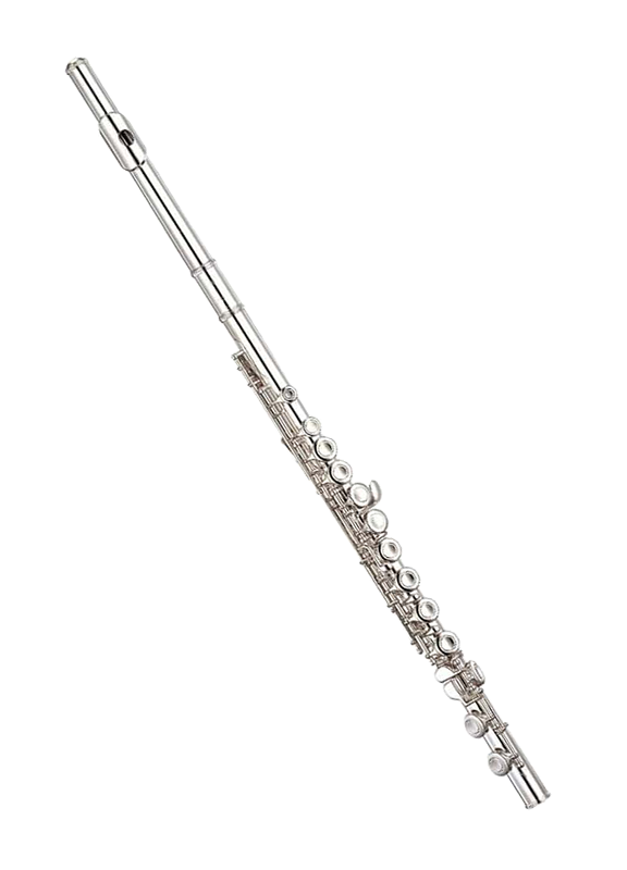 Изображение Yamaha YFL-311 Флейта Б/У made in Japan s/n 049871 + кейс