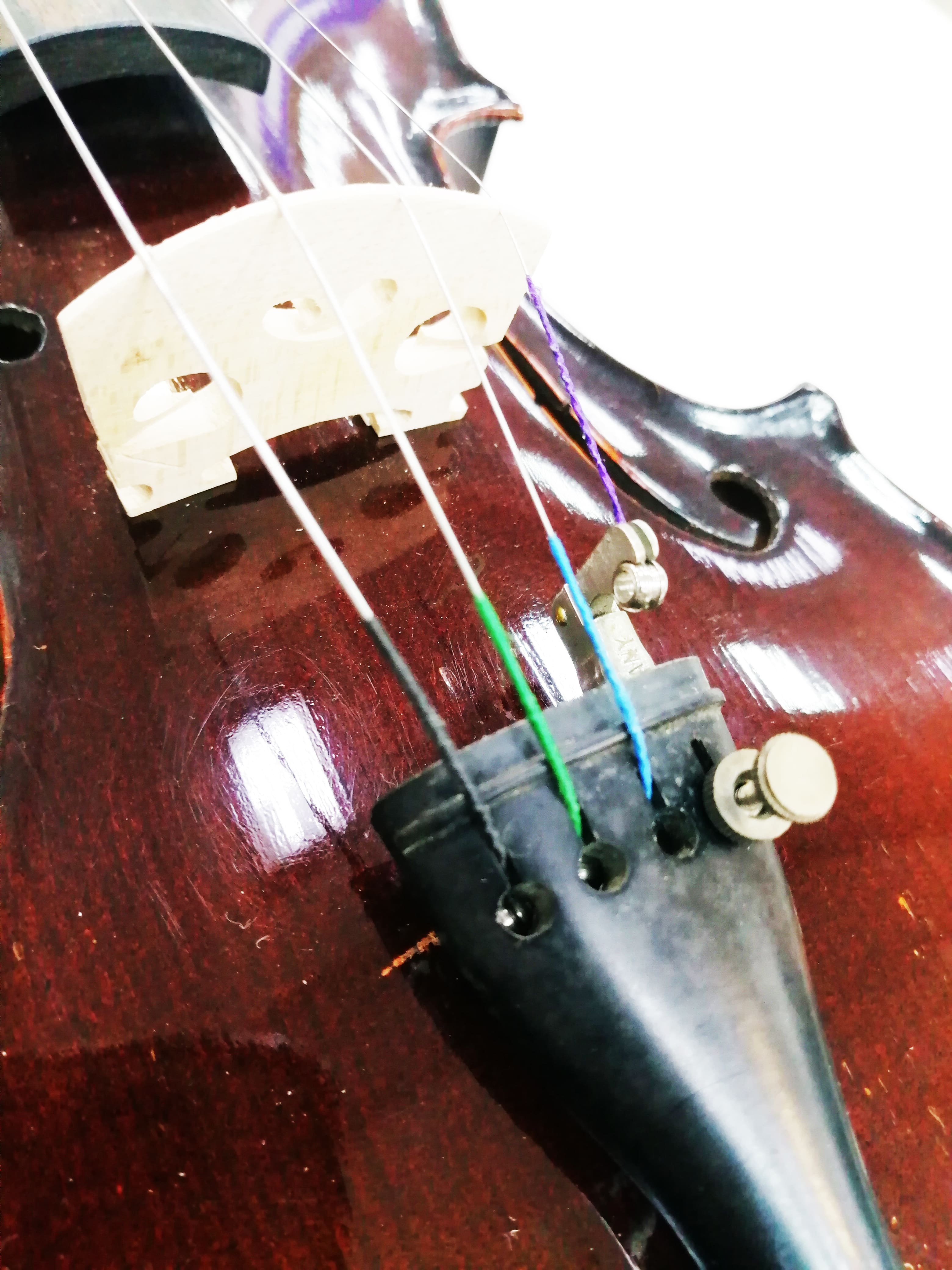 SUZUKI VIOLIN №103, Скрипка б/у 1/4, 1966 Япония Изображение SUZUKI VIOLIN №103, Скрипка б/у 1/4, 1966 Япония