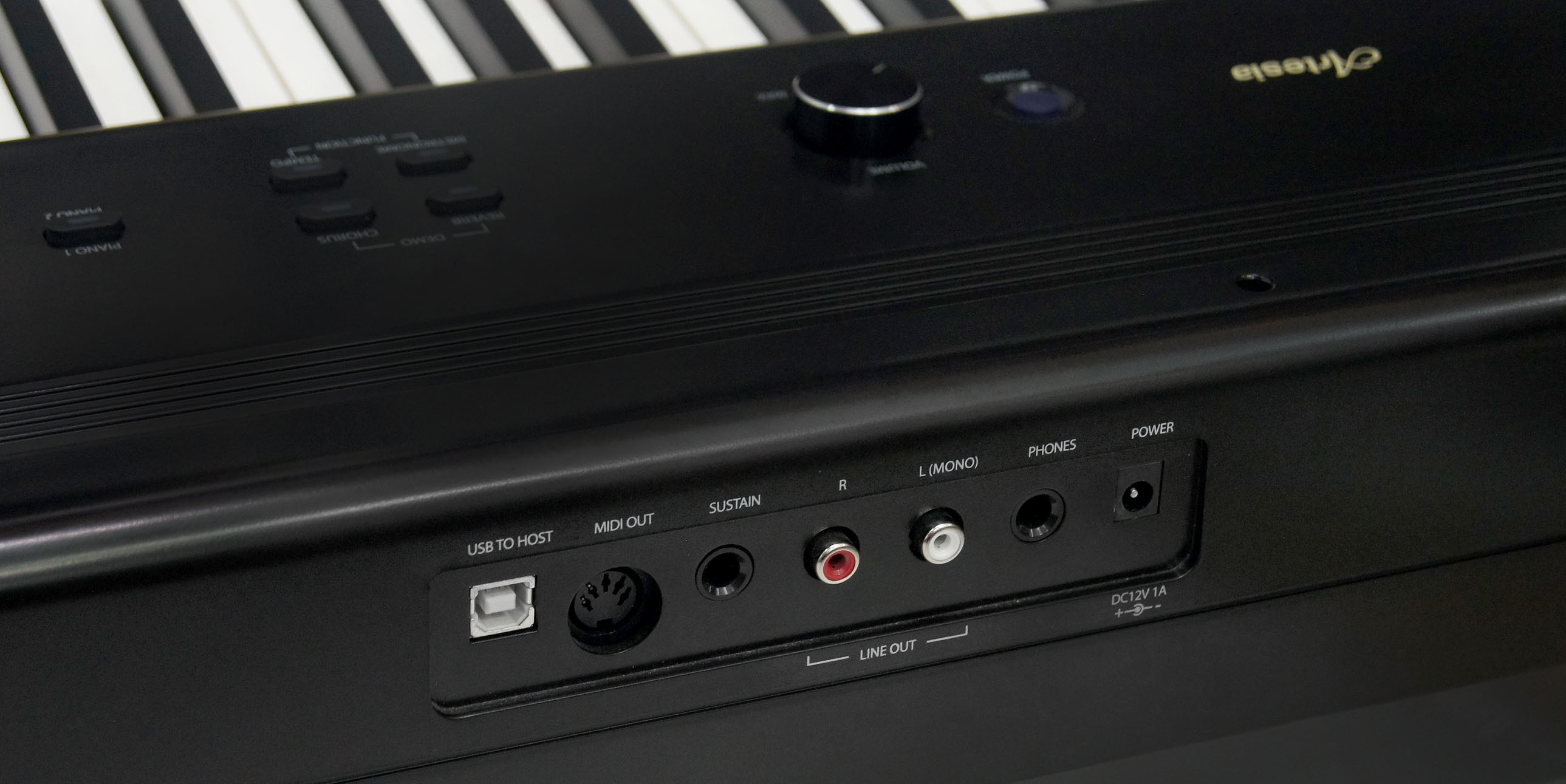 Изображение ARTESIA PA-88H Цифровое фортепиано