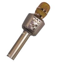 Изображение IDER-BBH H-1 GD Микрофон для караоке со встроенным динамиком, цвет: золотой
