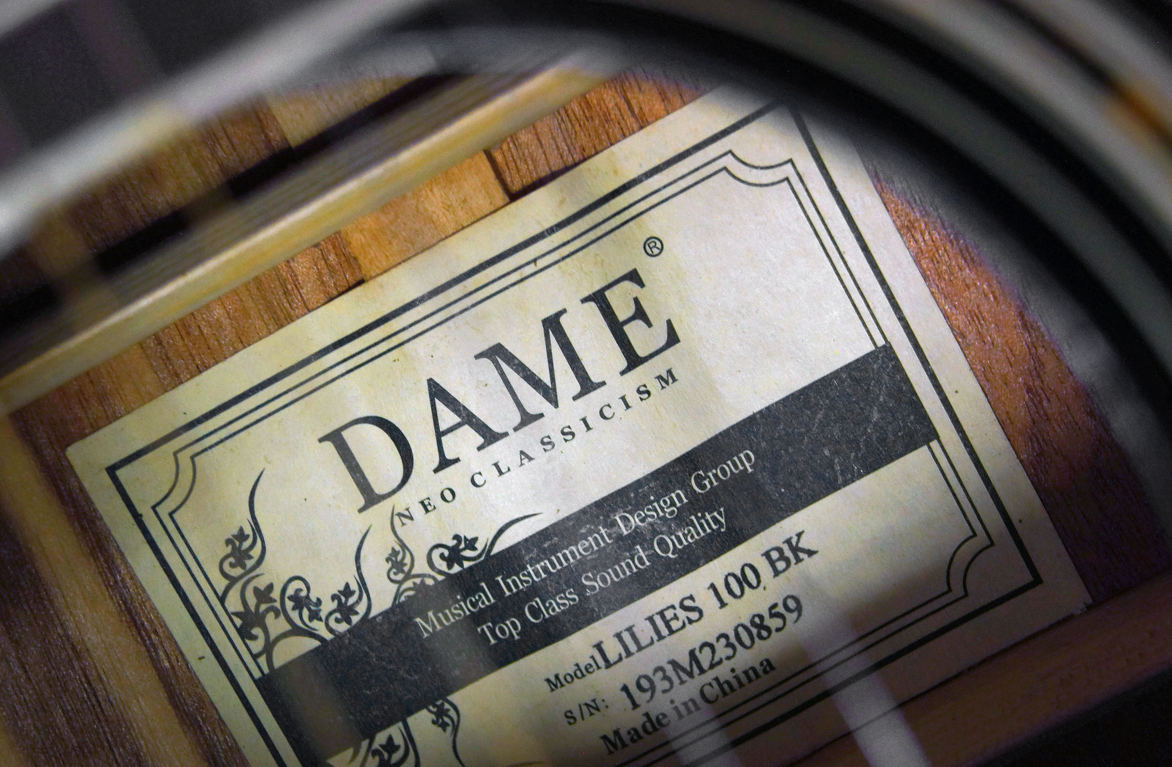 DAME 100BK Акустическая гитара, цвет черный Изображение DAME 100BK Акустическая гитара, цвет черный