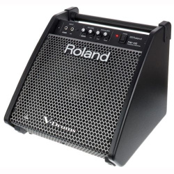 Изображение Roland PM-100 Монитор для электронных барабанов, s/n C0L8362, питание 100V