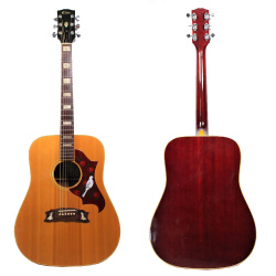 Изображение TAKAMINE ELITE HM-30 Акустическая гитара Б/У 1970-е гг. 