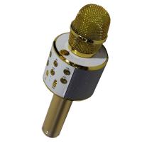 Изображение HANDHELD KTV-858 Микрофон для караоке со встроенным динамиком, цвет: золотой