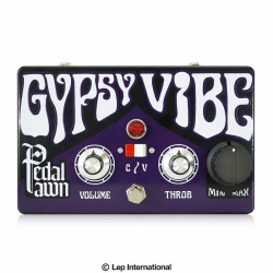 Изображение Gypsy Vibe Pedal Pawn Педаль гитарная Chorus, коробка + блок питания