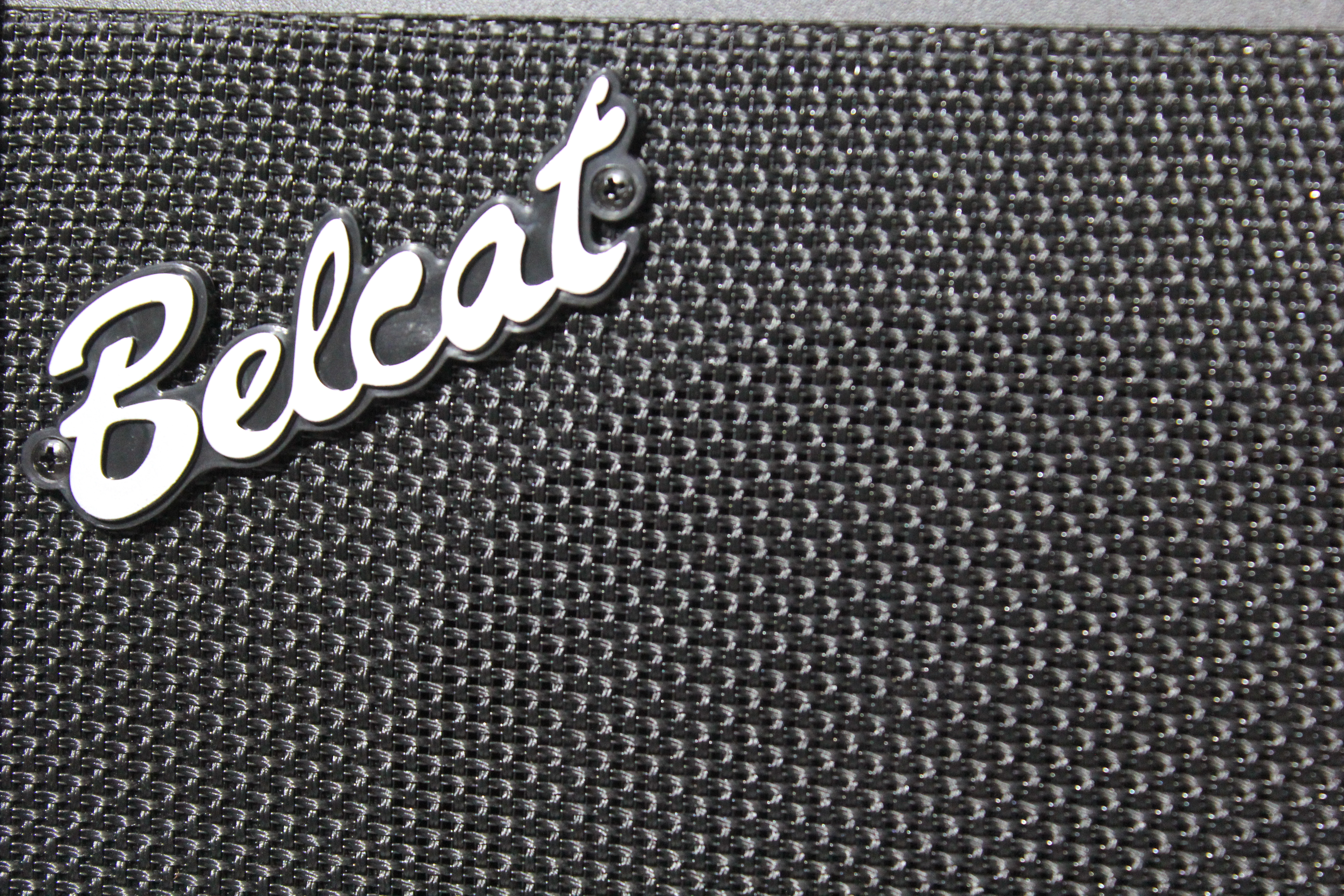 Изображение BELCAT 15B Басовый комбоусилитель, 15Вт, динамик 6,5``, Belcat