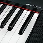 Изображение YAMAHA NP-31 Цифровое фортепиано 