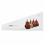 Изображение ENYA EA-X1 Акустическая гитара + ЧЕХОЛ + КОМПЛЕКТ