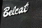 Изображение BELCAT 25B Басовый комбоусилитель, 25Вт, динамик 8``, Belcat