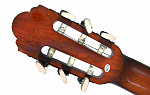 Изображение COLOMBO LC-3910/N Классическая гитара
