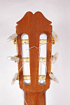 Изображение Masaki Sakurai Standard M. Kohno Workshop 1993 Japan Классическая гитара б/у + кейс?