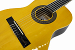 Изображение ARIA FIESTA FST-200-53 Классичеcкая гитара 1/2