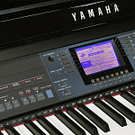 Изображение YAMAHA Clavinova CVP-601PE Цифровое фортепиано 