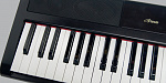Изображение ARTESIA PA-88W Цифровое фортепиано