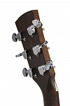 Изображение IBANEZ AW65-LG Акустическая гитара